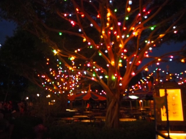 f:id:mekousagi:20190227225630j:plain f:id:mekousagi:20190227225630j:plain