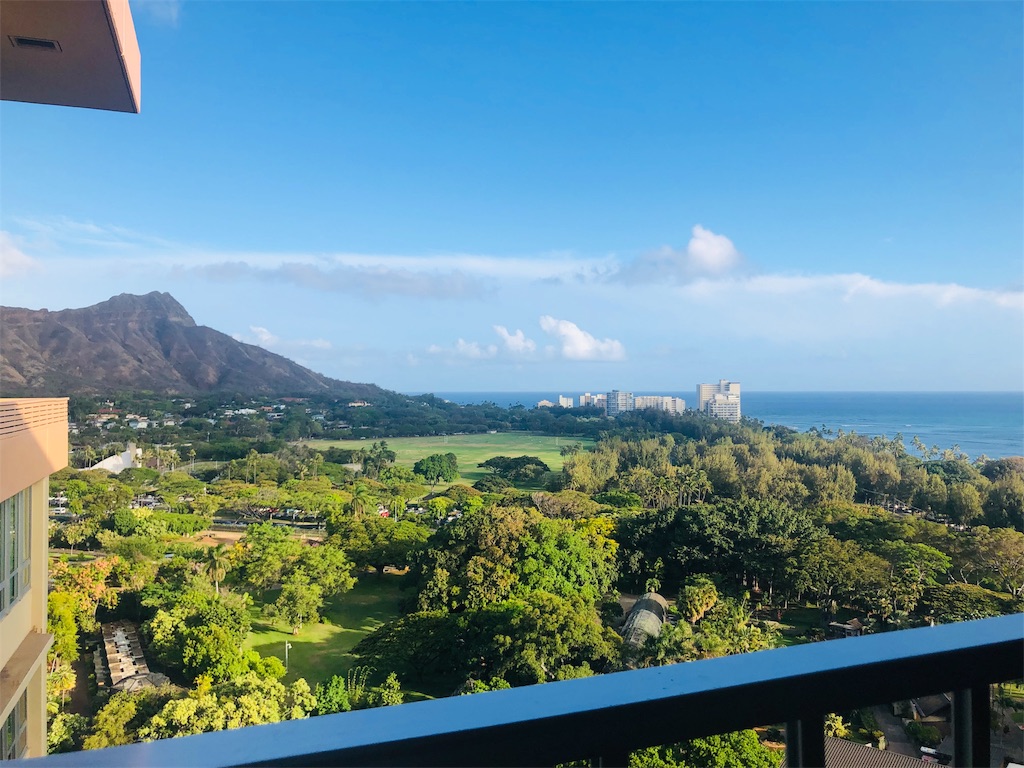 f:id:mekousagi:20190616012821j:image f:id:mekousagi:20190616012821j:image