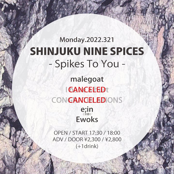 f:id:melancholyyouth:20220320065513j:plain