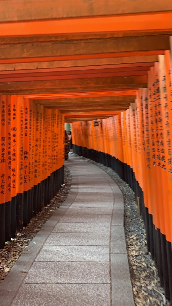 f:id:melcat:20190605003814j:image f:id:melcat:20190605003814j:image