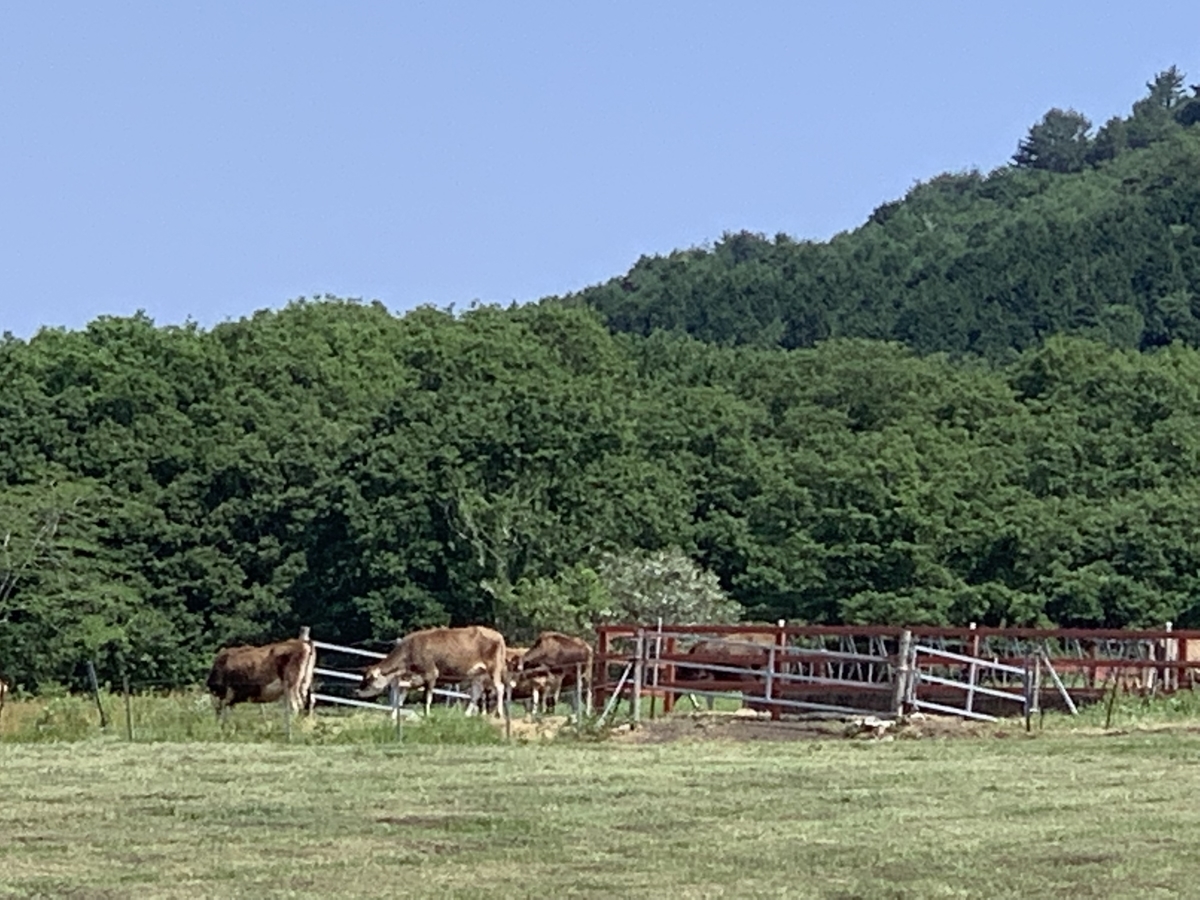 f:id:melcat:20190607191223j:plain f:id:melcat:20190607191223j:plain