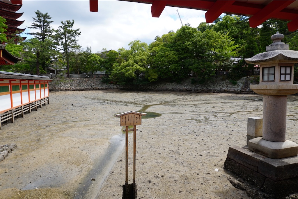 f:id:melcat:20190608204452j:image f:id:melcat:20190608204452j:image