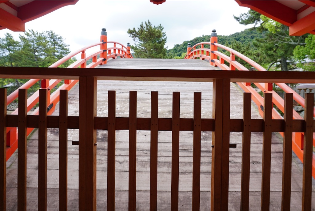 f:id:melcat:20190608204812j:image f:id:melcat:20190608204812j:image