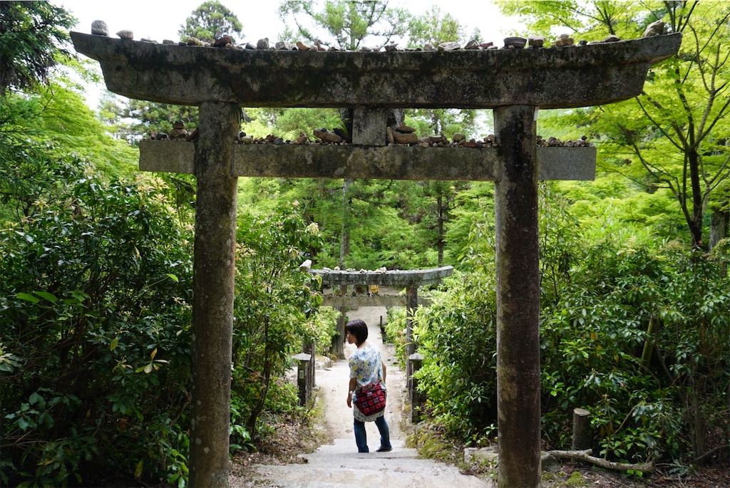 f:id:melcat:20190608210320j:image f:id:melcat:20190608210320j:image