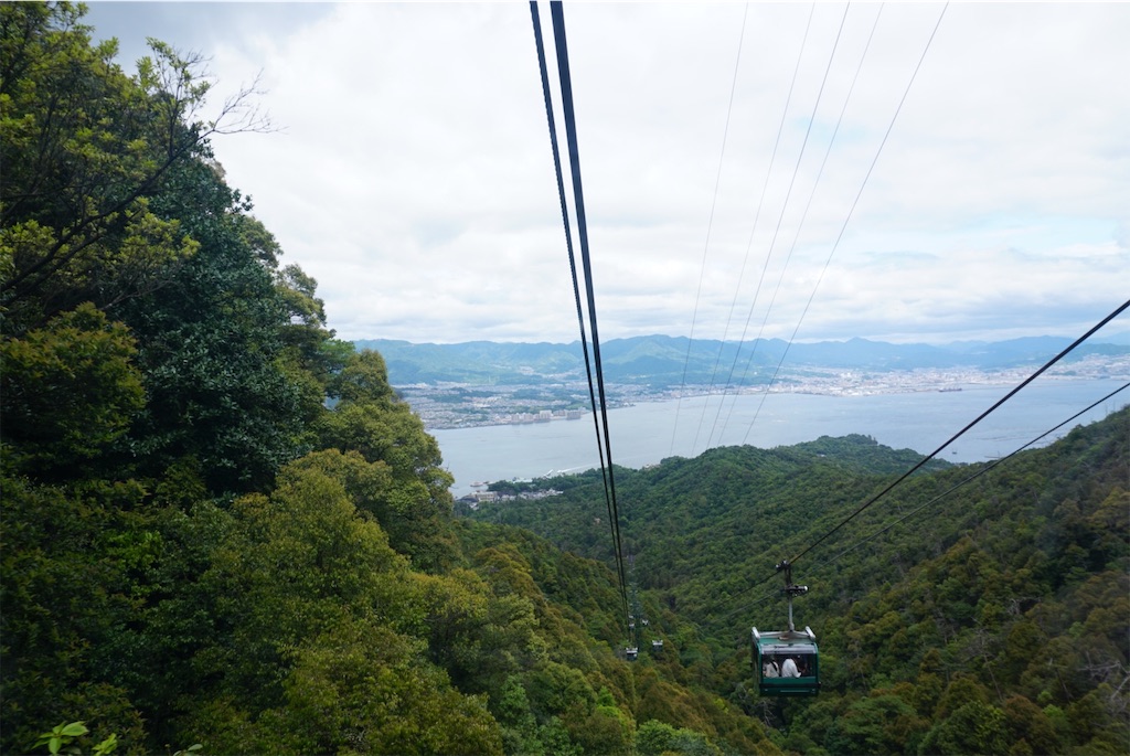 f:id:melcat:20190608210414j:image f:id:melcat:20190608210414j:image