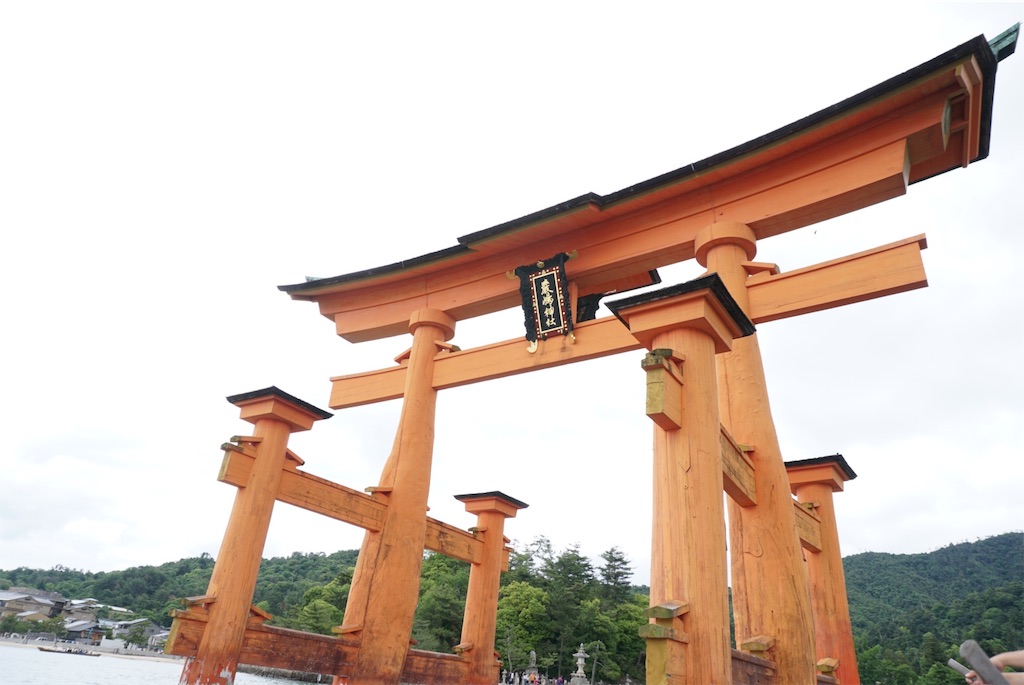f:id:melcat:20190608211019j:image f:id:melcat:20190608211019j:image