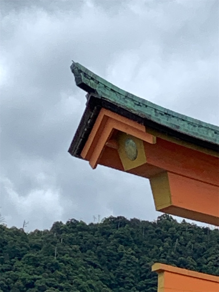 f:id:melcat:20190608211333j:image f:id:melcat:20190608211333j:image