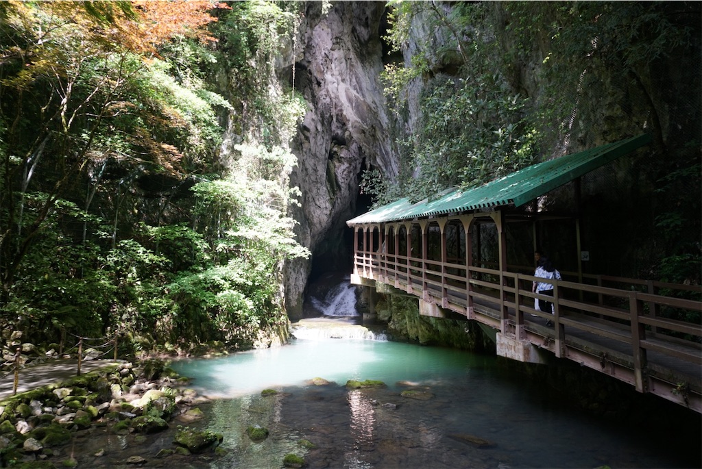 f:id:melcat:20190609222137j:image f:id:melcat:20190609222137j:image