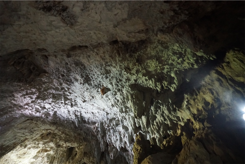 f:id:melcat:20190609223241j:image f:id:melcat:20190609223241j:image