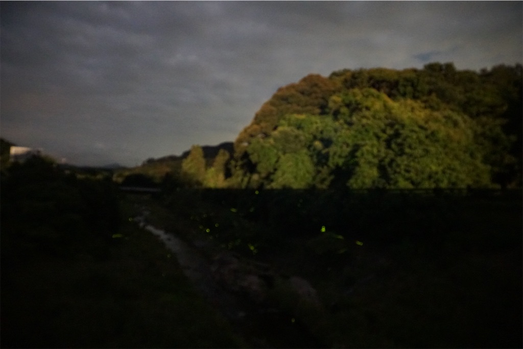 f:id:melcat:20190609233402j:image f:id:melcat:20190609233402j:image