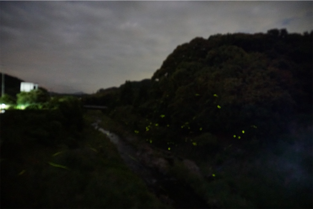 f:id:melcat:20190609233437j:image f:id:melcat:20190609233437j:image
