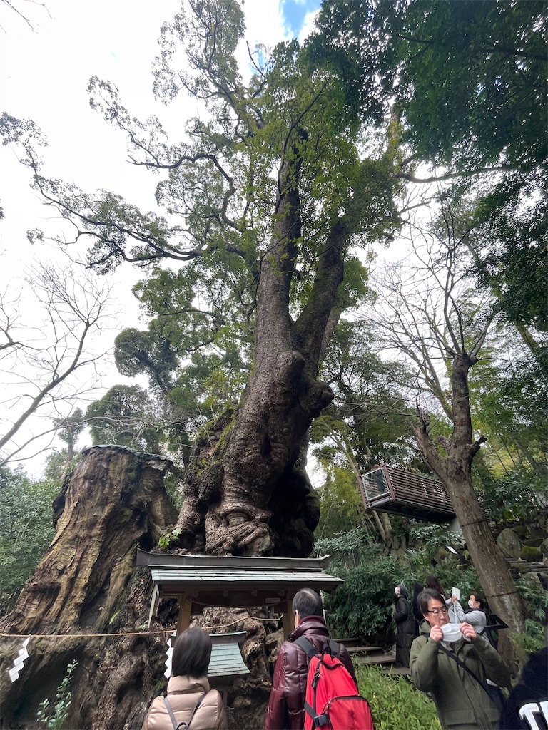 f:id:melchannel:20230118131149j:image