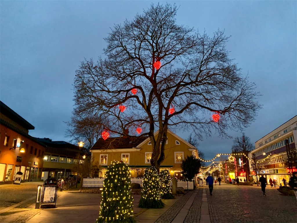 2020年クリスマス in sweden （風景編） - melissasweden's diary