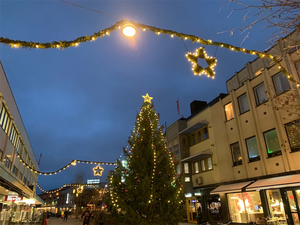 2020年クリスマス in sweden （風景編） - melissasweden's diary