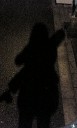 f:id:mellowbrain:20091010210219j:image f:id:mellowbrain:20091010210219j:image