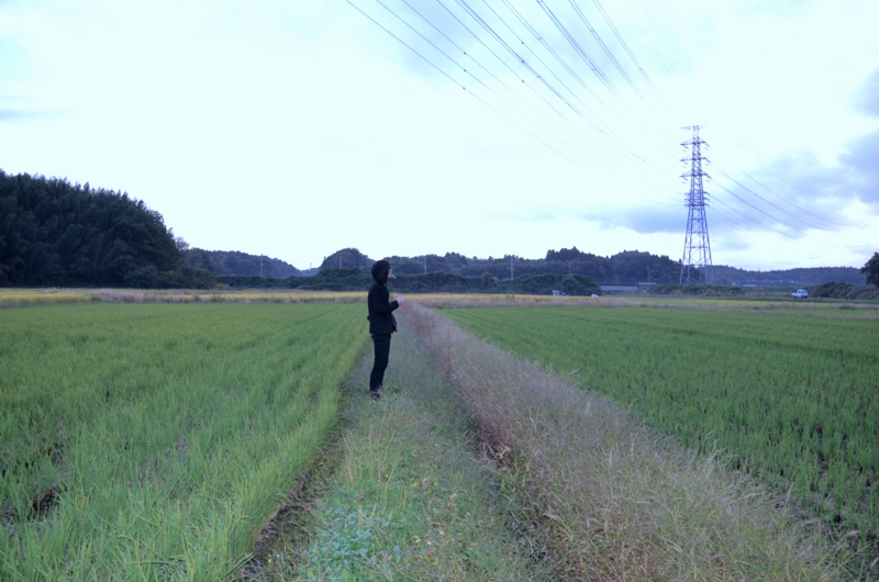 f:id:mellowdawn:20141021165848j:image:w360