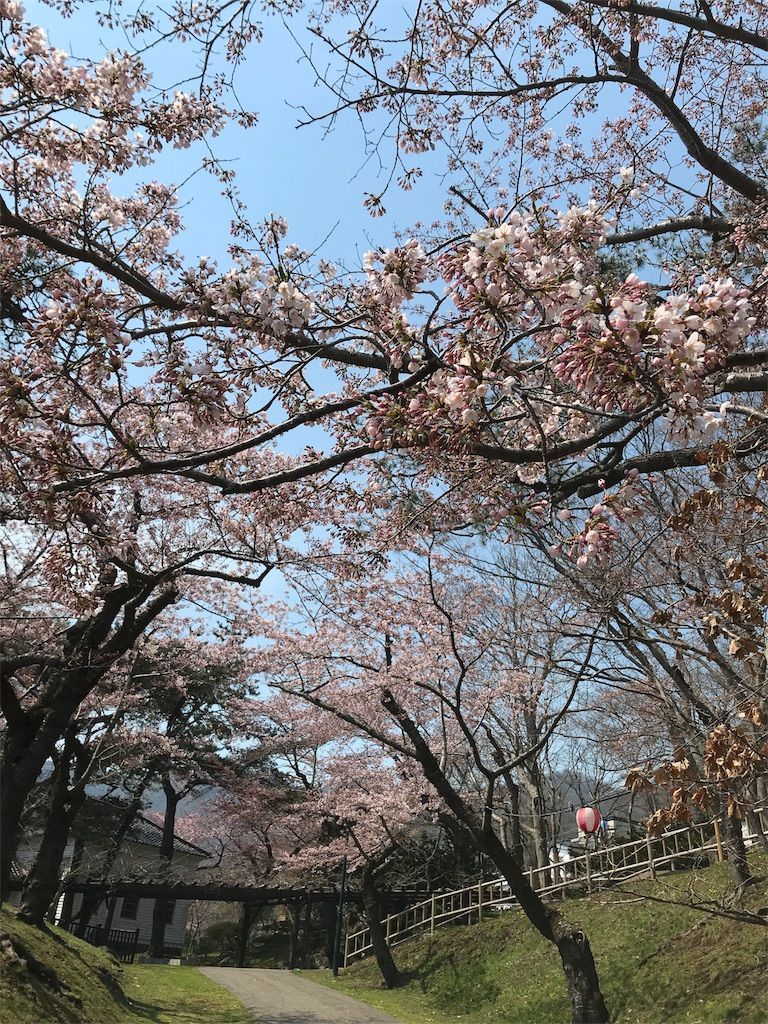 f:id:mellowed:20180506170259j:image