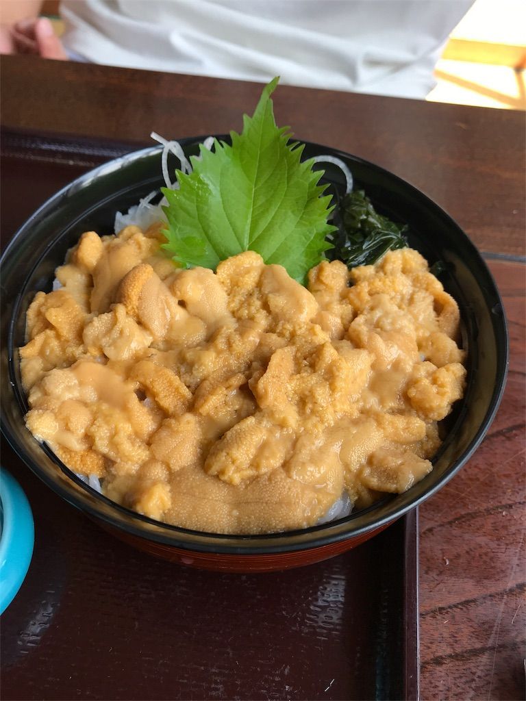 夏が旬 積丹のウニ丼 が甘くて絶品過ぎる 健康と不健康を両立するヲタんこナースのグルメブログ