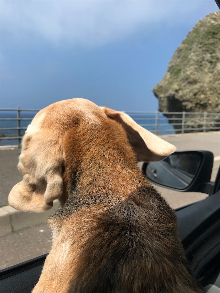 f:id:mellowed:20180730042745j:image