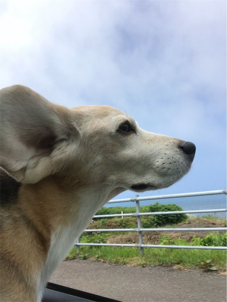 f:id:mellowed:20180730042858j:image