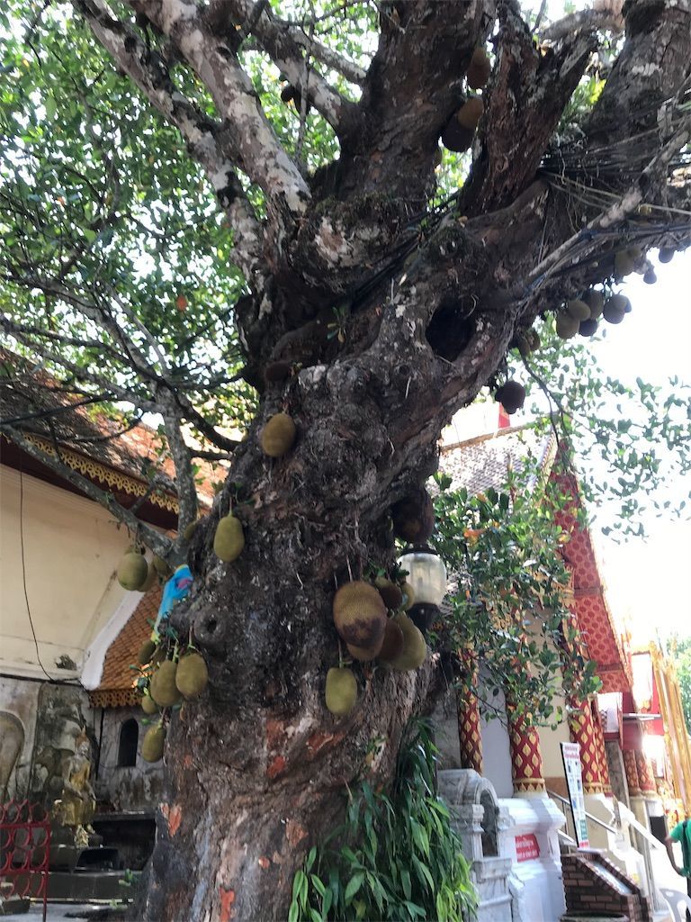 f:id:mellowed:20190604174213j:image f:id:mellowed:20190604174213j:image