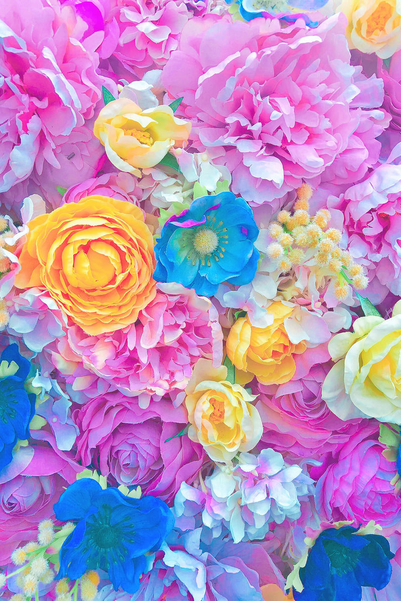 f:id:mellowed:20200522111125j:plain f:id:mellowed:20200522111125j:plain