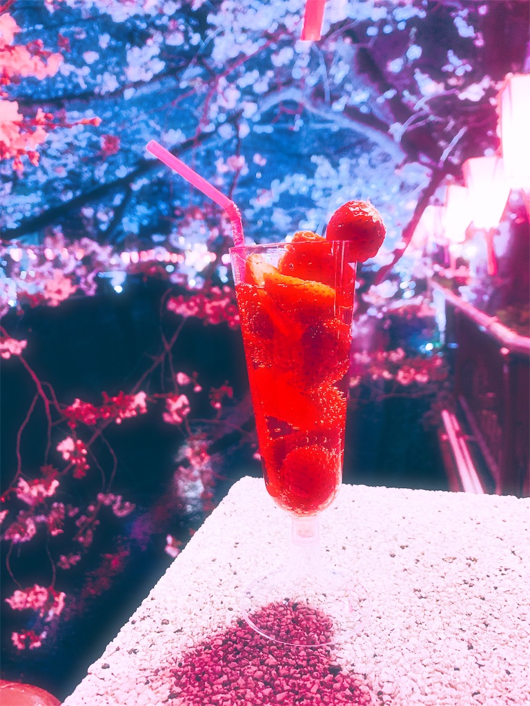 f:id:melodion-noidolem:20190329231817j:image f:id:melodion-noidolem:20190329231817j:image