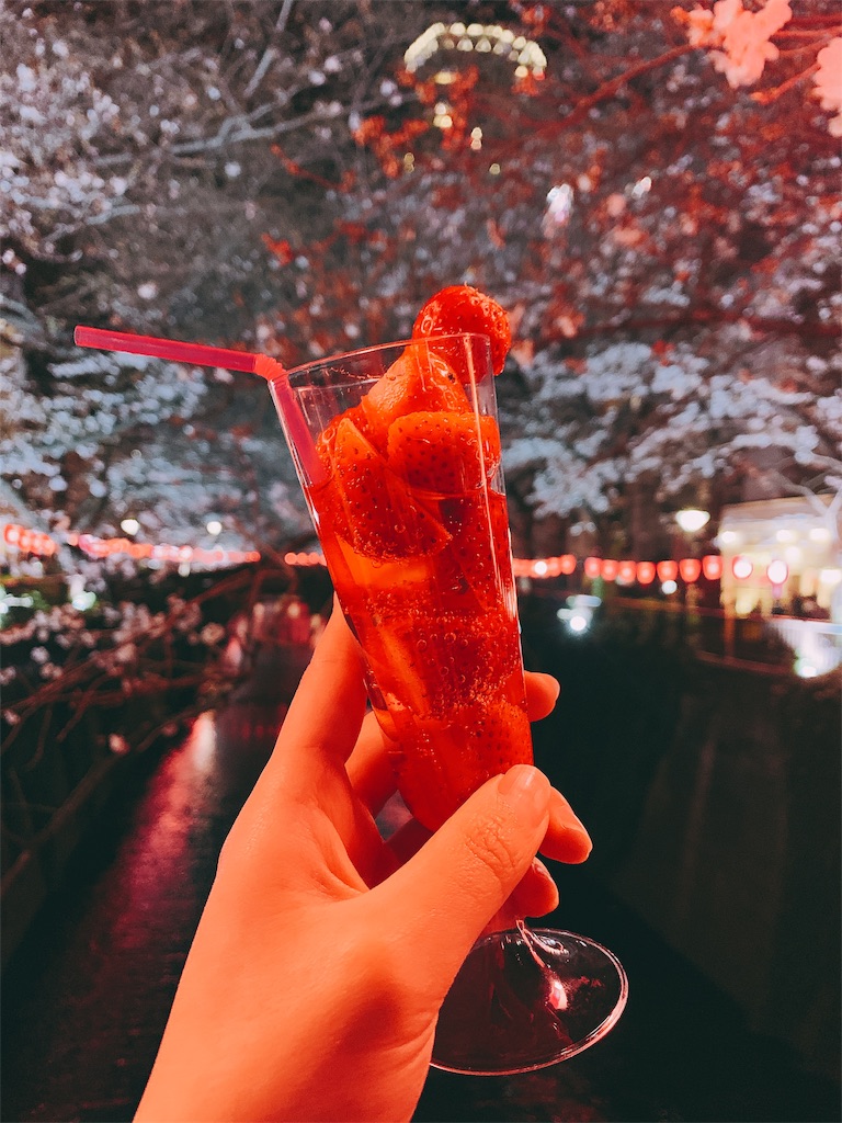 f:id:melodion-noidolem:20190329232007j:image f:id:melodion-noidolem:20190329232007j:image
