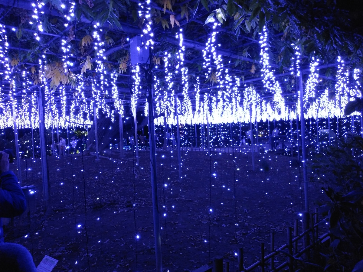 f:id:melonicecream:20191110221044j:plain