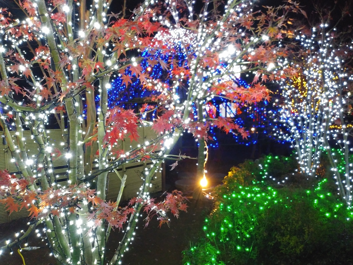 f:id:melonicecream:20191215162435j:plain