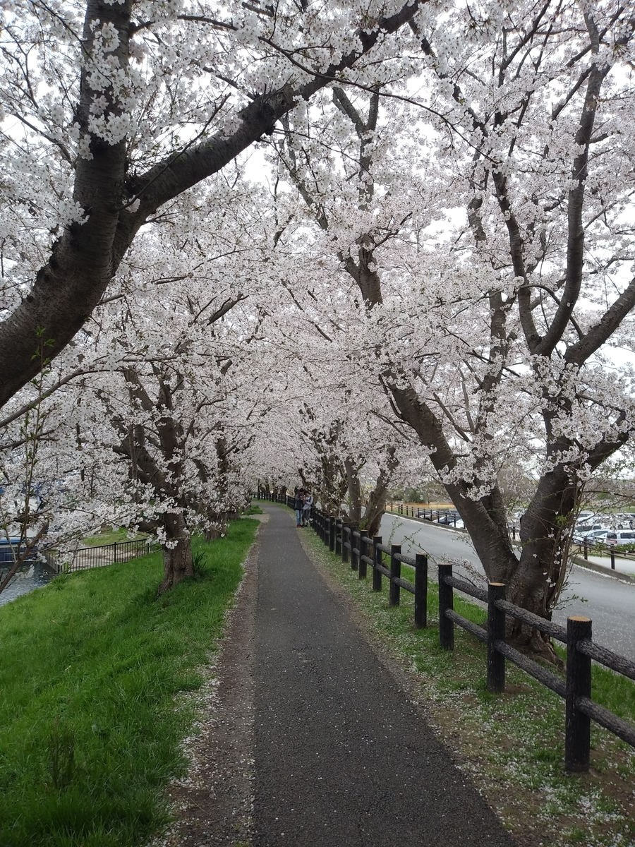 f:id:melonicecream:20200328183319j:plain