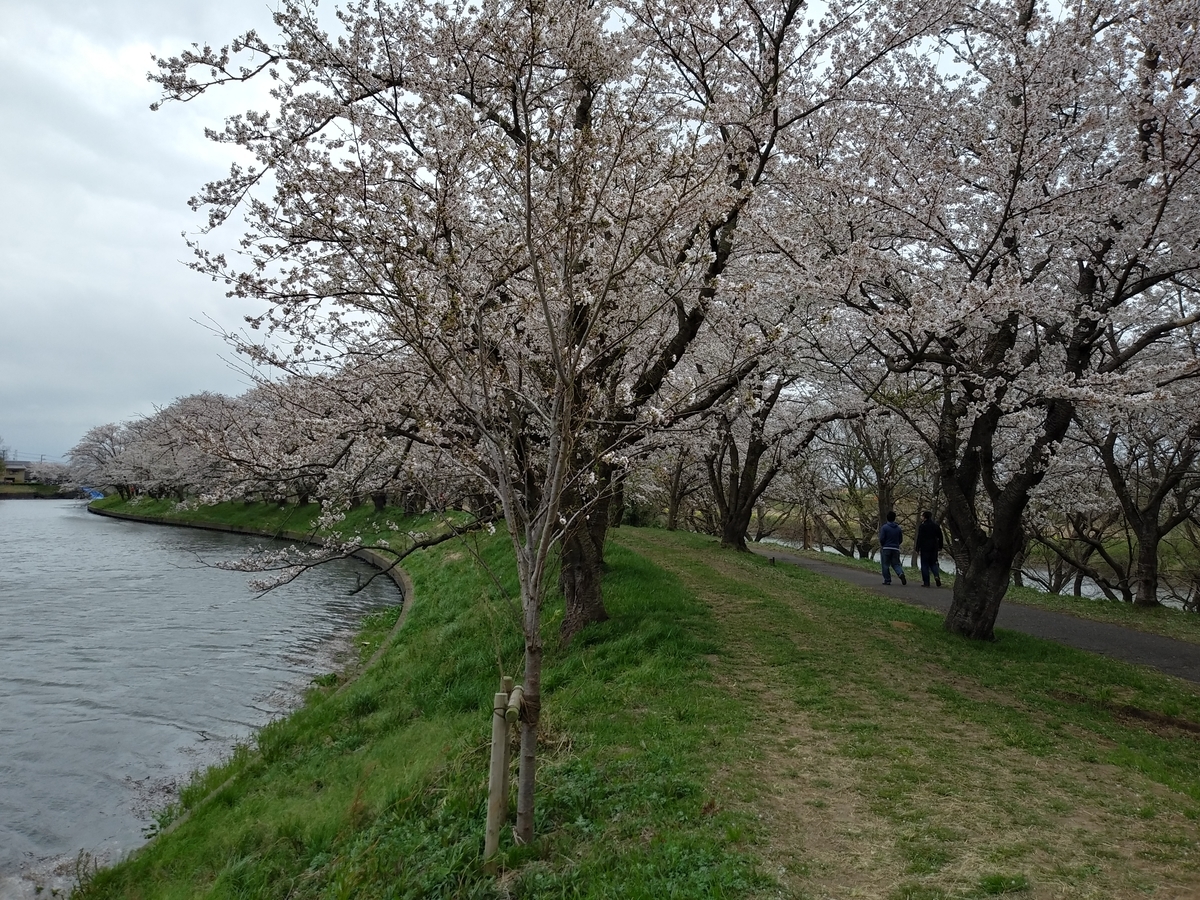 f:id:melonicecream:20200328183519j:plain