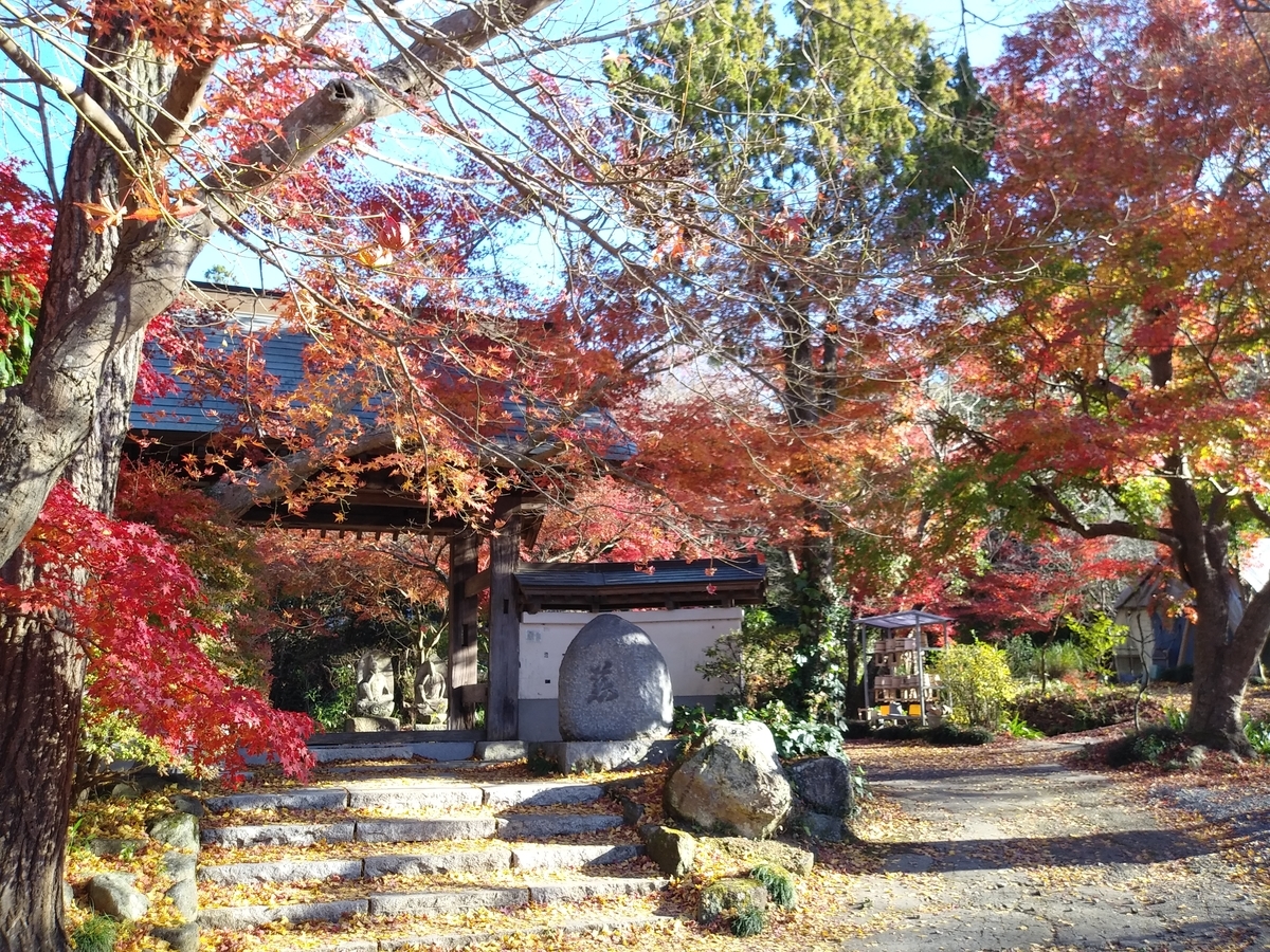 f:id:melonicecream:20201122204457j:plain