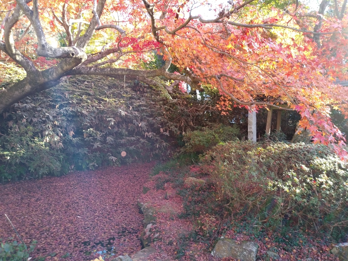 f:id:melonicecream:20201122204943j:plain