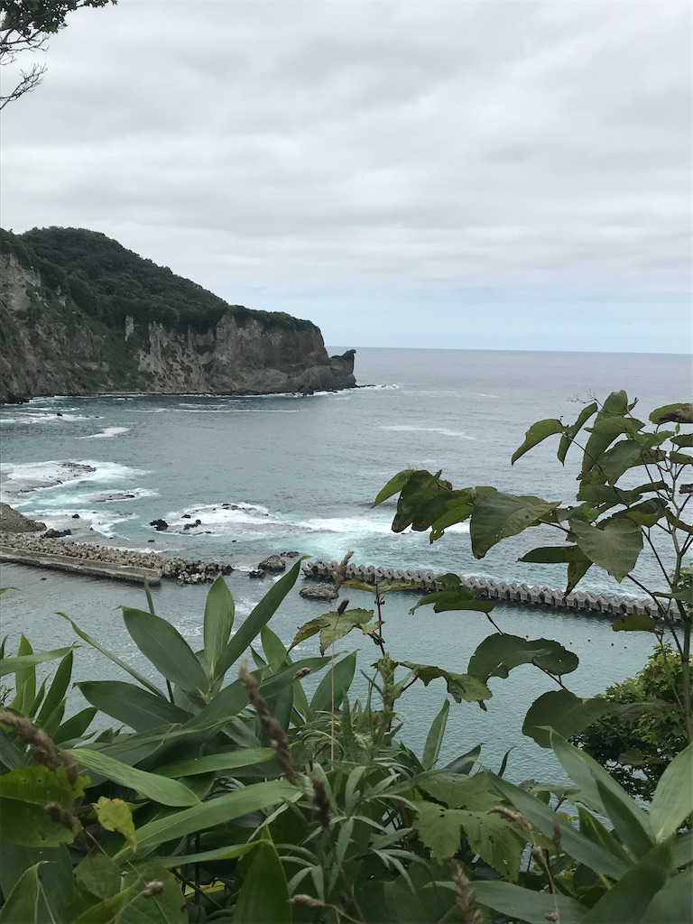 f:id:melonsoda760:20221031082157j:image