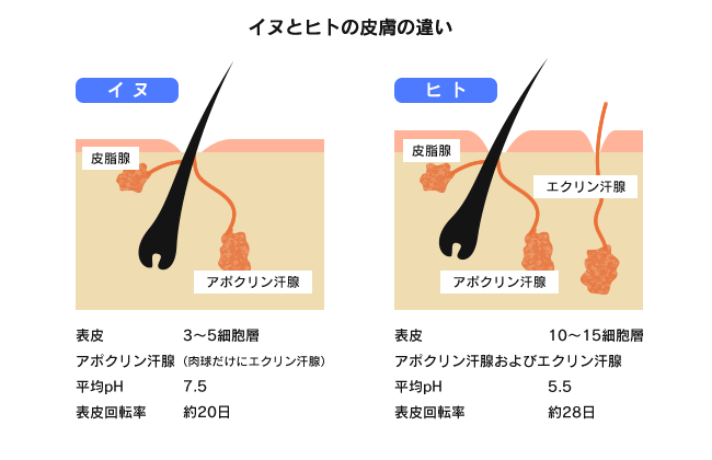 f:id:melotoko:20161024130103p:plain f:id:melotoko:20161024130103p:plain
