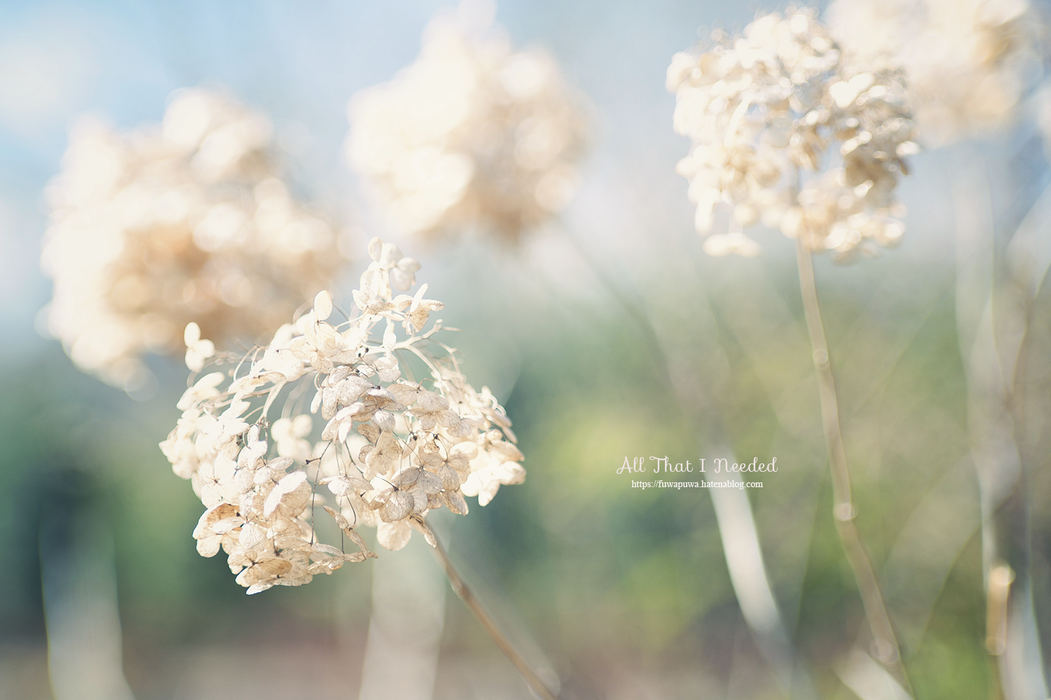 f:id:melpuwa:20210217180313p:plain