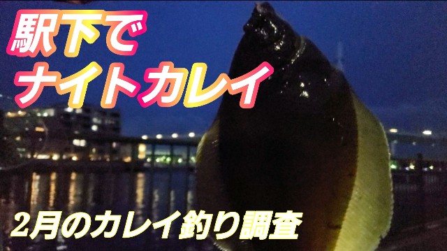2月でもちょい投げでカレイは釣れるのか まさかの思わぬ珍魚が カレイ釣り 関東釣り場in八景島 を Youtube で見る 釣り と料理のバラエティ