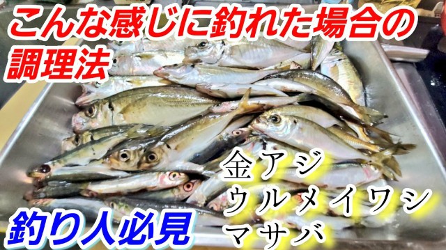 f:id:meltdown657:20201001200900j:image f:id:meltdown657:20201001200900j:image