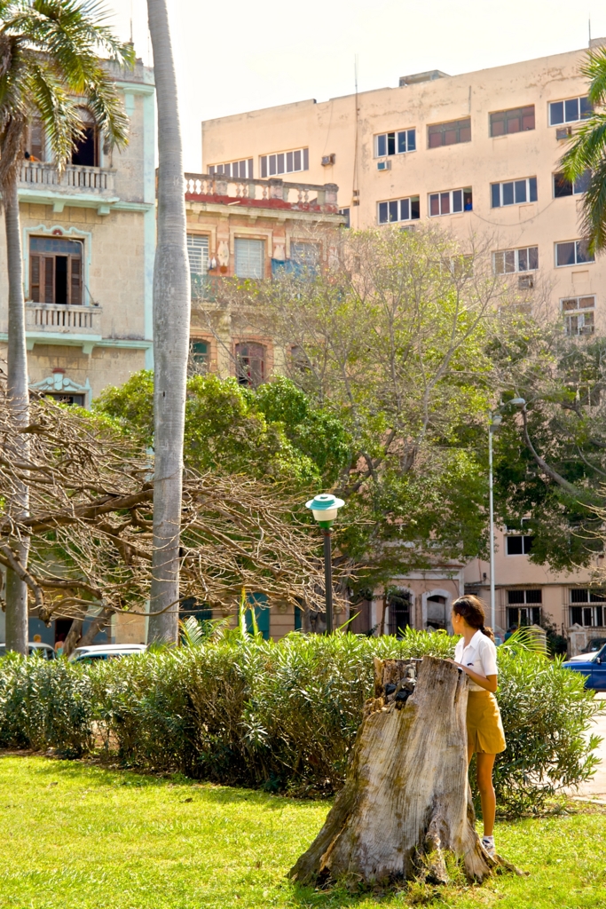 f:id:meltdown_int:20160408144751j:plain f:id:meltdown_int:20160408144751j:plain