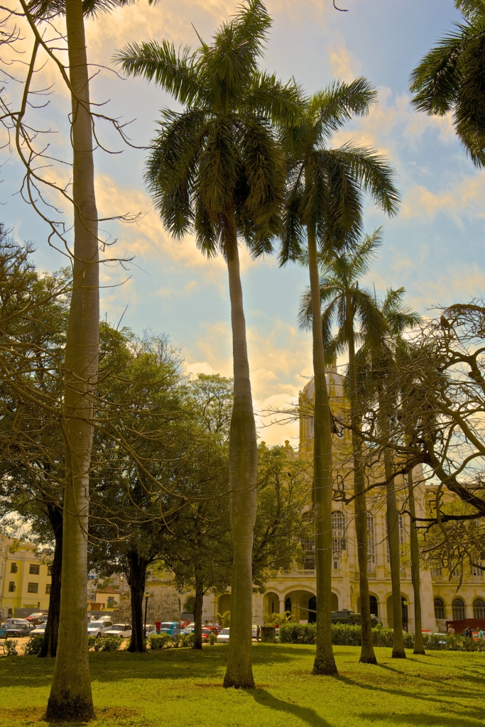 f:id:meltdown_int:20160408144829j:plain f:id:meltdown_int:20160408144829j:plain