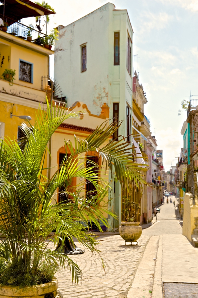 f:id:meltdown_int:20160408145032j:plain f:id:meltdown_int:20160408145032j:plain