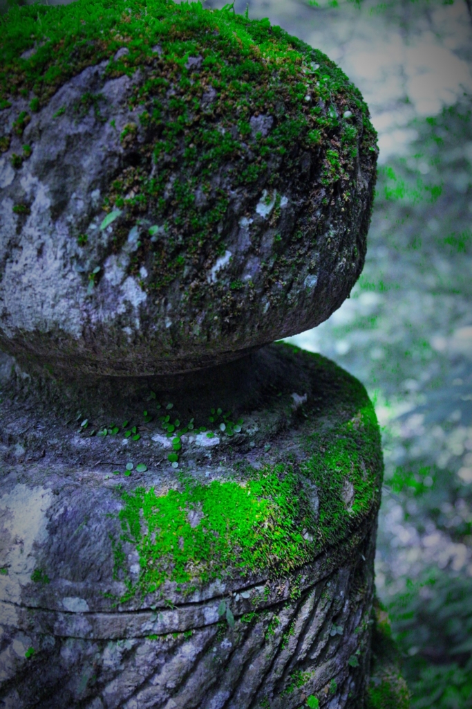 f:id:meltdown_int:20160830095306j:plain