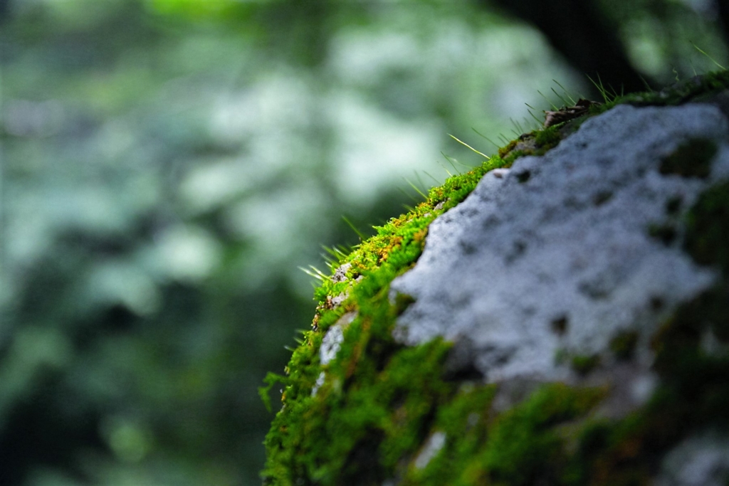 f:id:meltdown_int:20160830095433j:plain