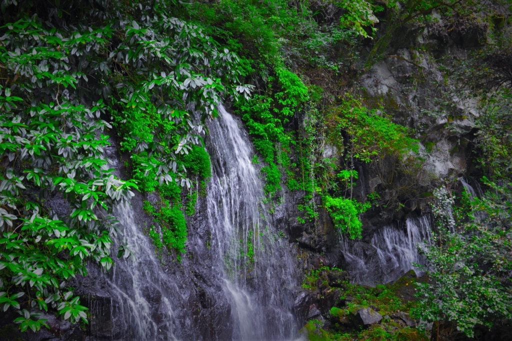 f:id:meltdown_int:20160830095834j:plain