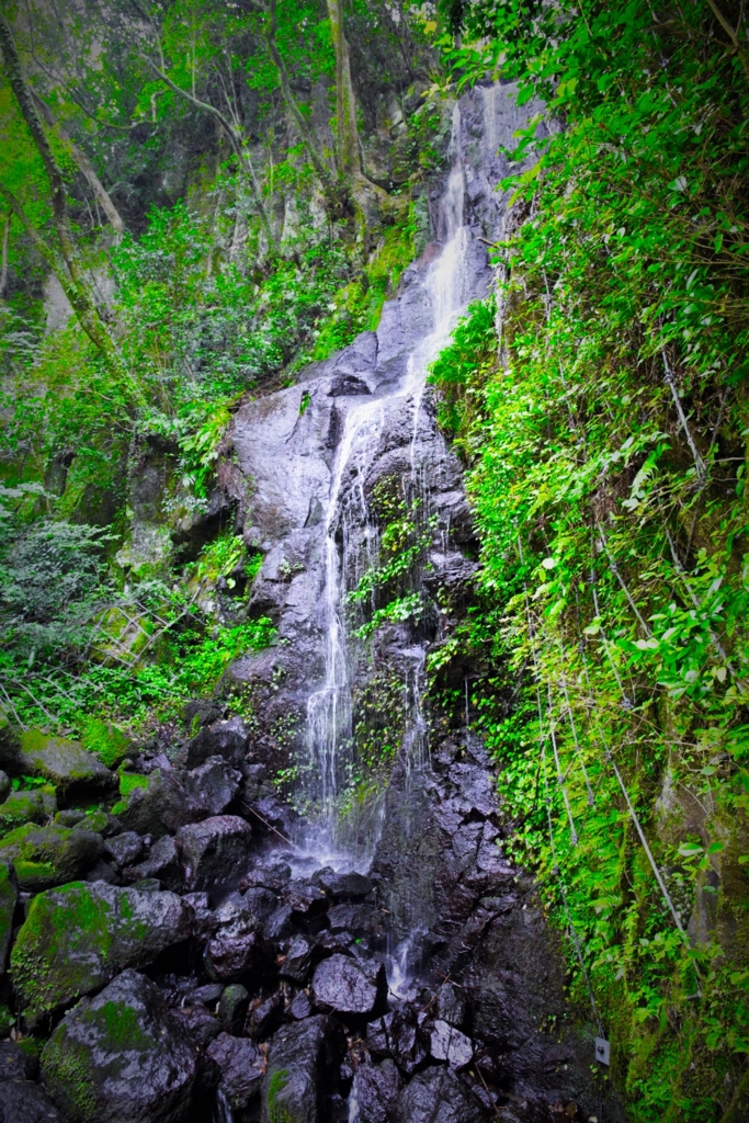 f:id:meltdown_int:20160830181123j:plain