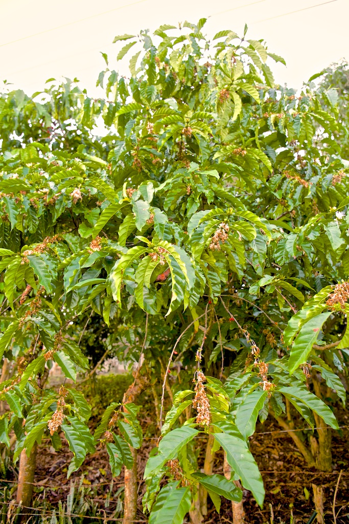 f:id:meltdown_int:20160913162636j:plain f:id:meltdown_int:20160913162636j:plain