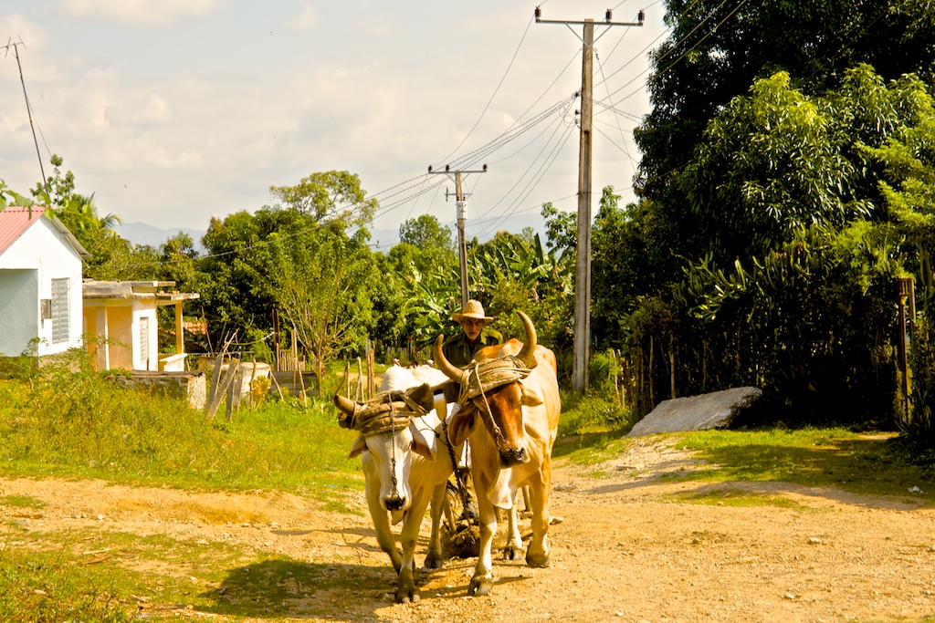 f:id:meltdown_int:20160918204204j:plain f:id:meltdown_int:20160918204204j:plain