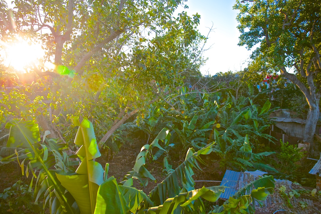 f:id:meltdown_int:20160918212552j:plain