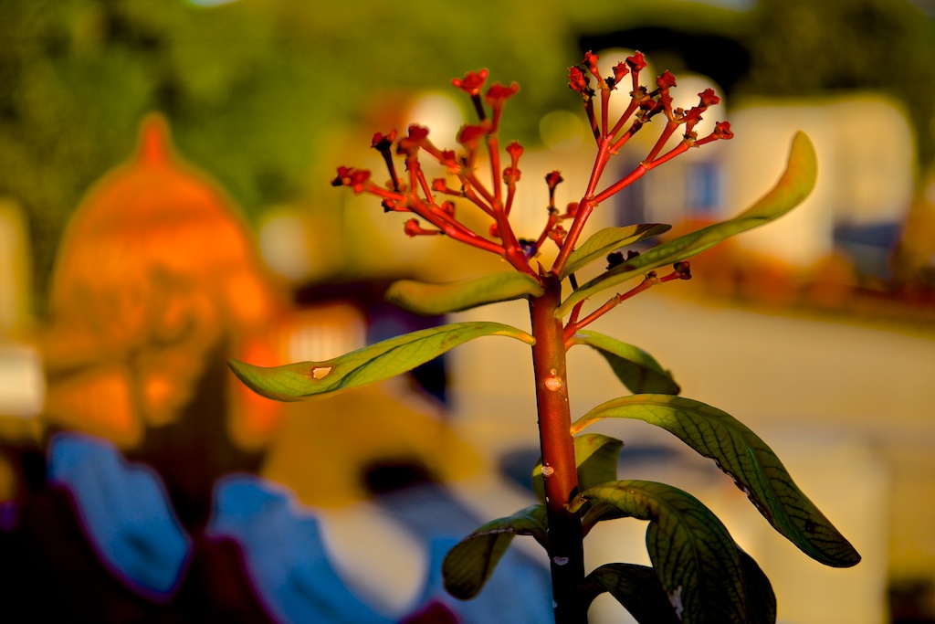 f:id:meltdown_int:20160918212626j:plain